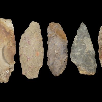 Sale Photo Thumbnail #225: Lot of 5 Flint Celts & Blades, St. Charles Co., Missouri, Found by Ron Knowles