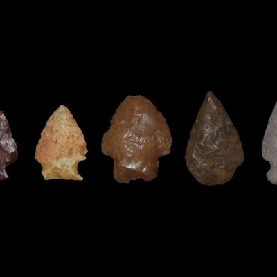 Sale Photo Thumbnail #666: Lot of 5 Bird Point Arrowheads, New Mexico