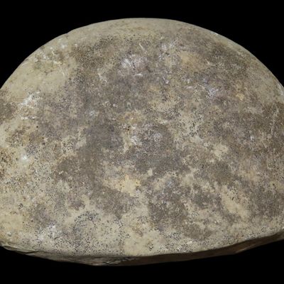 Sale Photo Thumbnail #190: 4 3/4" Shuttle Bannerstone Preform, St. Charles Co., Missouri, Found by Ronald Knowles