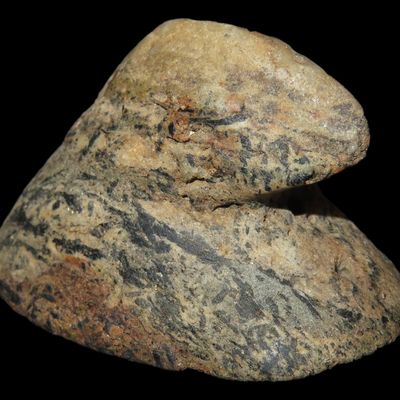 Sale Photo Thumbnail #247: 2 5/8" Bust Birdstone with Raised Eyes, Motley & T&T COAs, Colorful Polished Gneiss, Knox Co., Ohio, Ex. Matt Moeller & Gary Smith Collections