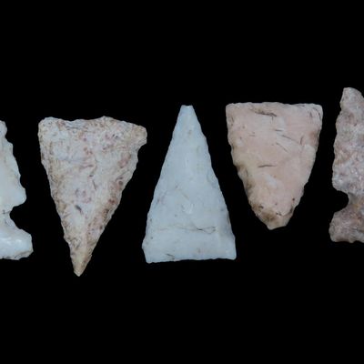 Sale Photo Thumbnail #134: Lot of Cahokia Bird Points, St. Louis Area, Found by Ron Knowles, Including Notched Examples