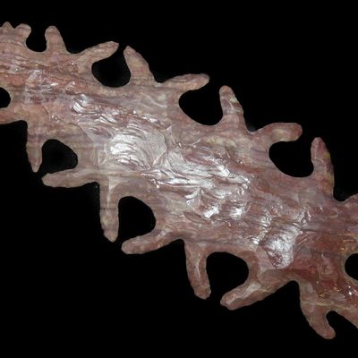 7 1/4" Tussinger Flint Eccentric, Colorful Alibates Flint, Oklahoma, Early 1900s Artistic Example
