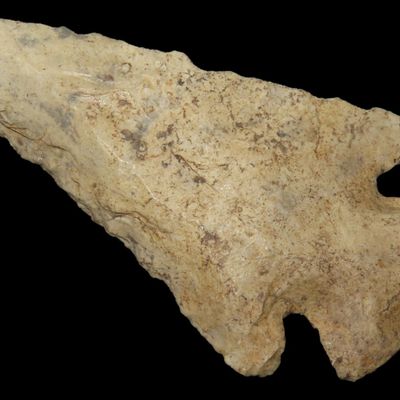 Sale Photo Thumbnail #266: 2 11/16" Dovetail, St. Charles Co., Missouri, Found by Ronald Knowles