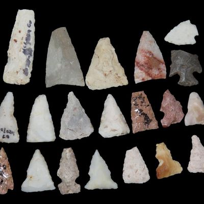 Sale Photo Thumbnail #170: Lot of Cahokia Bird Points, St. Louis Area, Found by Ron Knowles, Including Notched Examples