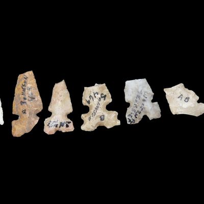 Sale Photo Thumbnail #208: Lot of Cahokia Bird Points, St. Louis Area, Found by Ron Knowles, Including Notched Examples