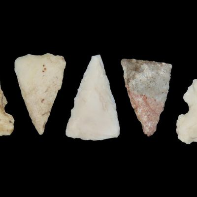 Sale Photo Thumbnail #148: Lot of Cahokia Bird Points, St. Louis Area, Found by Ron Knowles, Including Notched Examples