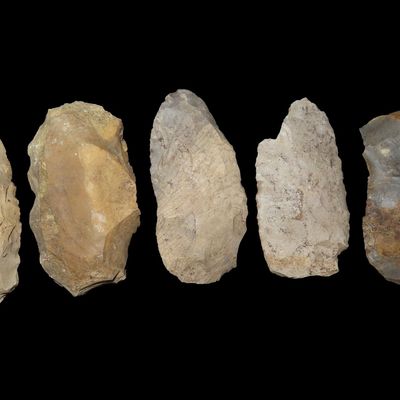 Sale Photo Thumbnail #258: Lot of 5 Flint Celts & Blades, St. Charles Co., Missouri, Found by Ron Knowles