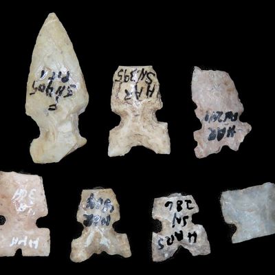 Sale Photo Thumbnail #194: Lot of Cahokia Bird Points, St. Louis Area, Found by Ron Knowles, Including Notched Examples