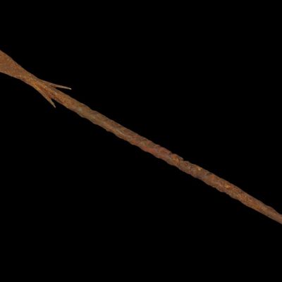 Sale Photo Thumbnail #488: 6 3/8" Egyptian Metal Spear / Iron Arrow Shaft, Sahara Desert, Egypt
