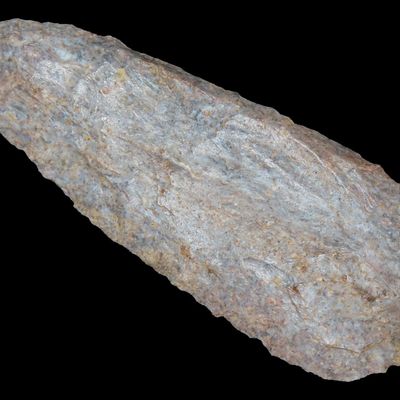 Sale Photo Thumbnail #446: 3 1/2" Fossil-Filled Cobbs Knife Blade, Meade Co., Kentucky