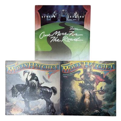 Sale Photo Thumbnail #232: Molly Hatchet & Lynyrd Skynyrd Southern Rock Vinyl LP Collection