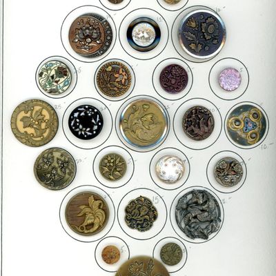 Sale Photo Thumbnail #394: A CARD OF DIVISION 1 & 3 PLANT LIFE BUTTONS
