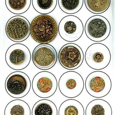 A CARD OF DIVISION ONE PLANT LIFE BUTTONS