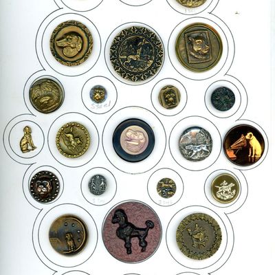 A CARD OF DIVISION 1 & 3 DOG BUTTONS