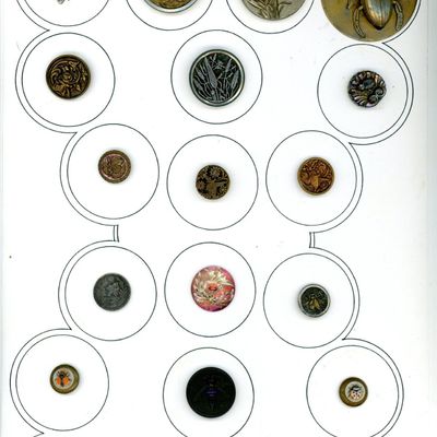 A CARD OF DIVISION ONE AND THREE INSECT BUTTONS