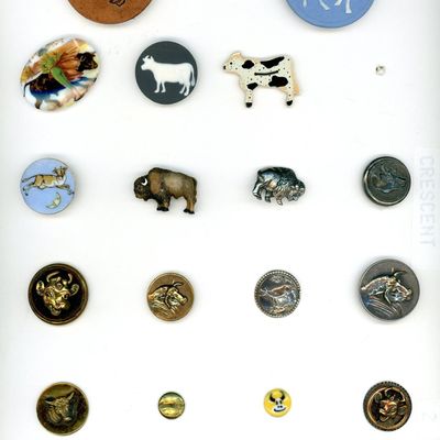 Sale Photo Thumbnail #127: A CARD OF DIVISION ONE AND THREE BULLS AND COW BUTTONS