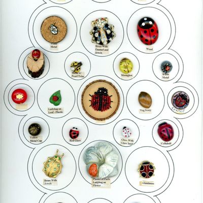 A CARD OF DIVISION ONE & THREE LADYBUG BUTTONS