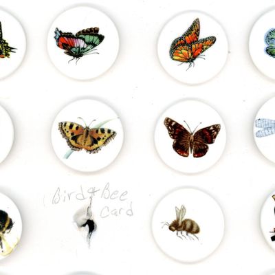 A SMALL CARD OF DIVISION THREE ENGLISH CERAMIC BUTTONS