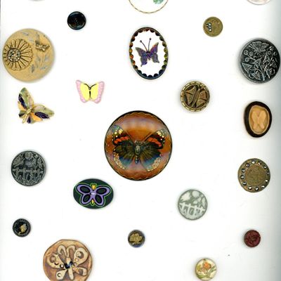 Sale Photo Thumbnail #212: A CARD OF DIVISION 1 & 3 BUTTERFLY BUTTONS