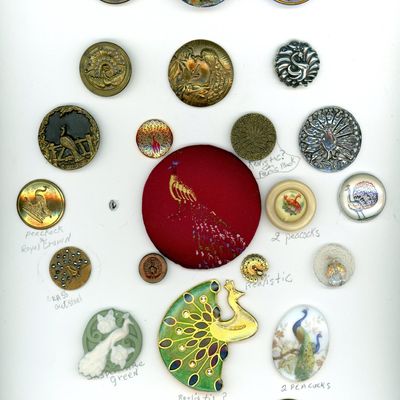 A CARD OF DIVISION ONE AND THREE PEACOCK BUTTONS