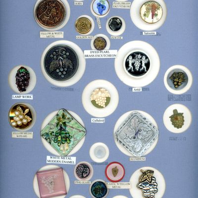 A CARD OF DIVISION ONE AND THREE GRAPE BUTTONS