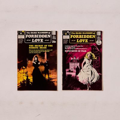 Sale Photo Thumbnail #164: 2 DC "Dark Mansion of Forbidden Love" Bronze Comics