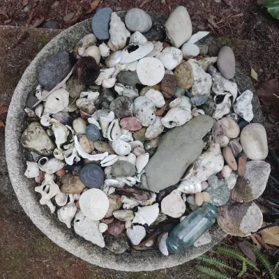 Rock Bowl Of Shells And Stones For Lawn Art