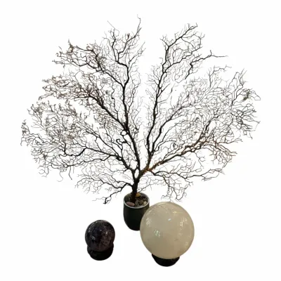 Sculptural Tree Branch & 2 Natural Stone Orbs
