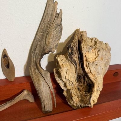 Organic & Primitive Sculptural Objects Lot – Found Wood, Driftwood, Natural Stone & Rustic Metal