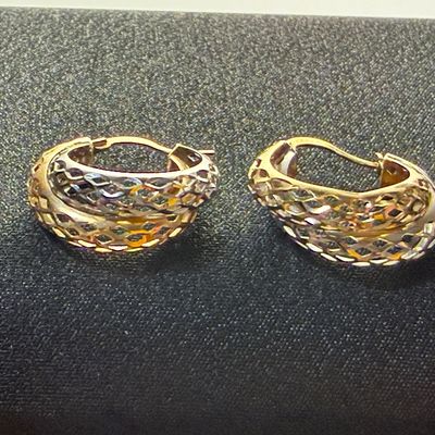 14k Gold Mesh Two Toned Earrings