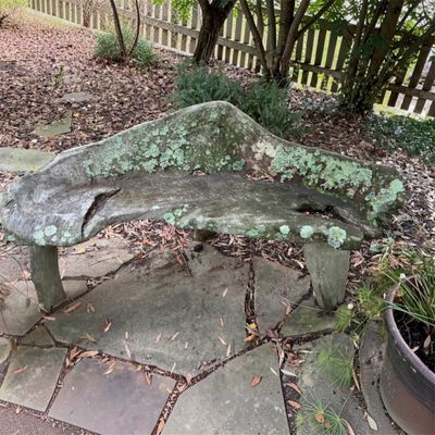 Live Edge Natural Wood Outside Bench