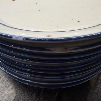 23 Piece Dansk Ceramic Dinnerware Lot Plates Bowls