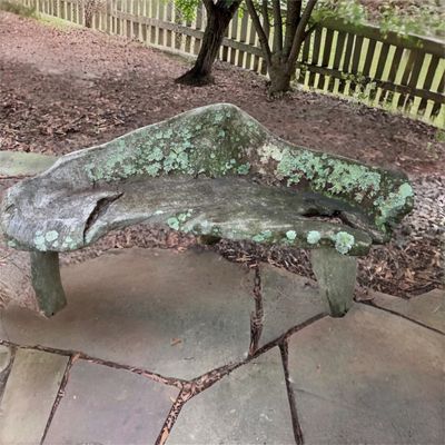 Live Edge Natural Wood Outside Bench