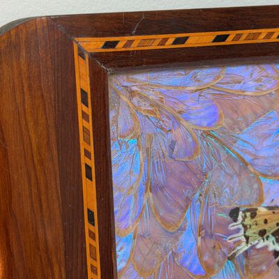 Vintage Wooden Butterfly Tray w Iridescent Butterfly Wing Inlay, Marquetry Border