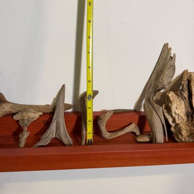 Organic & Primitive Sculptural Objects Lot – Found Wood, Driftwood, Natural Stone & Rustic Metal