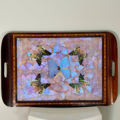 Vintage Wooden Butterfly Tray w Iridescent Butterfly Wing Inlay, Marquetry Border