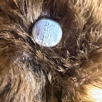 Antique Steiff Mohair Teddy Bear 12" Original Metal Button in Ear
