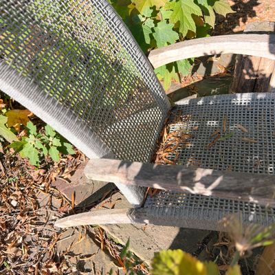 2 Rustic Coastal-Style Woven Outdoor Lounge Chairs w Tree Stump “Table”