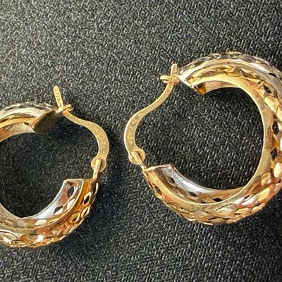 14k Gold Mesh Two Toned Earrings