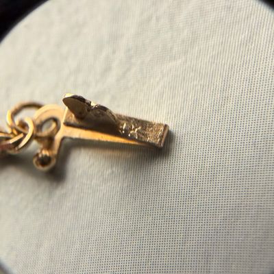 14k Yellow Gold Bermuda Longtail Seabird Pendant & Necklace