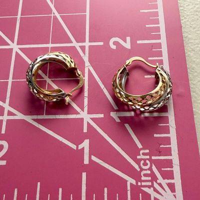 14k Gold Mesh Two Toned Earrings