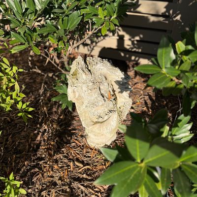 Concrete Yard Garden Sculpture