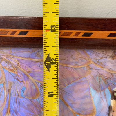 Vintage Wooden Butterfly Tray w Iridescent Butterfly Wing Inlay, Marquetry Border