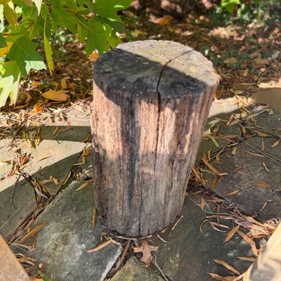 2 Rustic Coastal-Style Woven Outdoor Lounge Chairs w Tree Stump “Table”