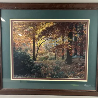 Sale Photo Thumbnail #544