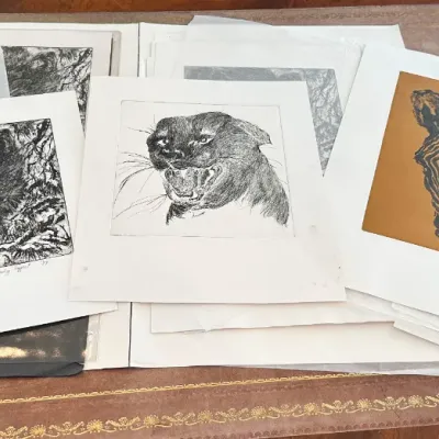 Sale Photo Thumbnail #145