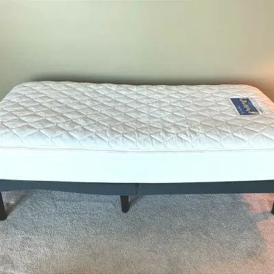 Tempur Ergo Bed & Serta Mattress
