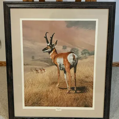 "Pronghorn" by Charles Frace Framed Wildlife Art Print