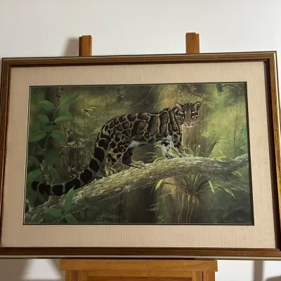 “Clouded Leopard” By Charles Frace - Framed Wildlife Art Print, Signed 
