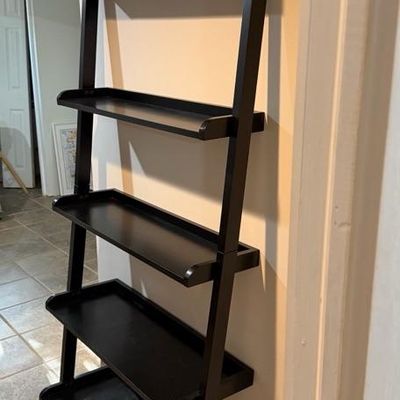 Ladder shelf